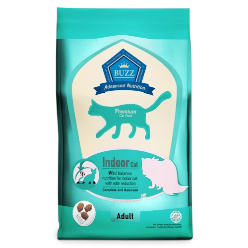 Buzz : Indoor cat