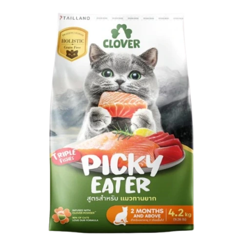 Clover : Picky Eater