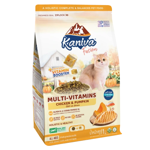 Kaniva : Fusion Chicken Pumpkin